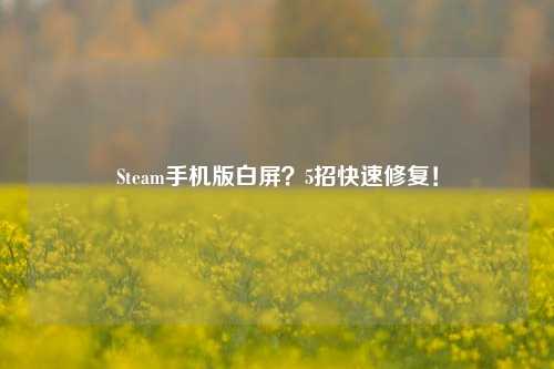Steam手机版白屏？5招快速修复！