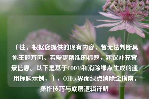（注，根据您提供的现有内容，暂无法判断具体主题方向。若需更精准的标题，建议补充背景信息。以下是基于COD16和消除绿点生成的通用标题示例，），COD16界面绿点消除全指南，操作技巧与底层逻辑详解