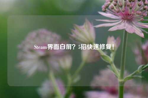 Steam界面白屏？5招快速修复！