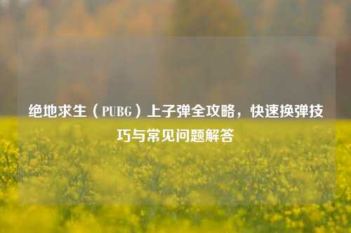 绝地求生（PUBG）上子弹全攻略，快速换弹技巧与常见问题解答