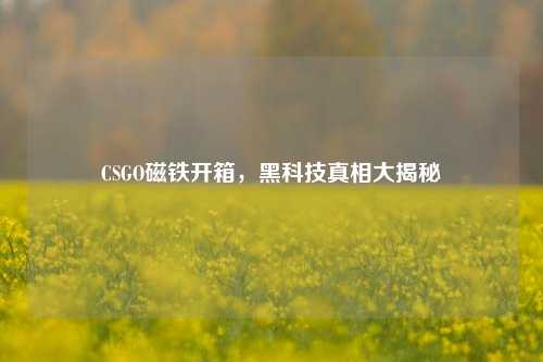 CSGO磁铁开箱，黑科技真相大揭秘