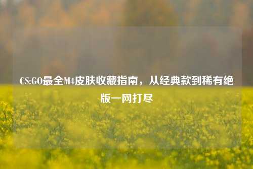 CS:GO最全M4皮肤收藏指南，从经典款到稀有绝版一网打尽