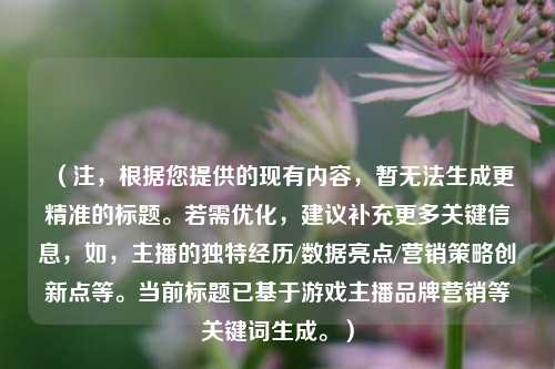 （注，根据您提供的现有内容，暂无法生成更精准的标题。若需优化，建议补充更多关键信息，如，主播的独特经历/数据亮点/营销策略创新点等。当前标题已基于游戏主播品牌营销等关键词生成。）