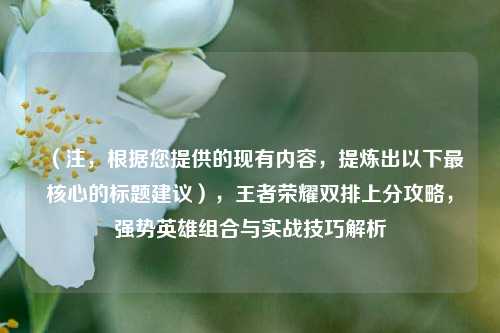 (注,根据您提供的现有内容,提炼出以下最核心的标题建议),王者荣耀双排上分攻略,强势英雄组合与实战技巧解析