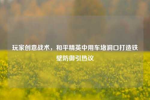 玩家创意战术,和平精英中用车堵洞口打造铁壁防御引热议
