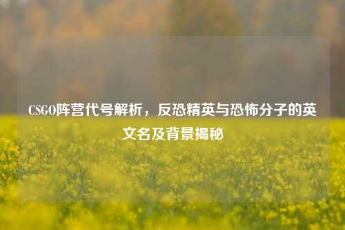 CSGO阵营代号解析，反恐精英与恐怖分子的英文名及背景揭秘