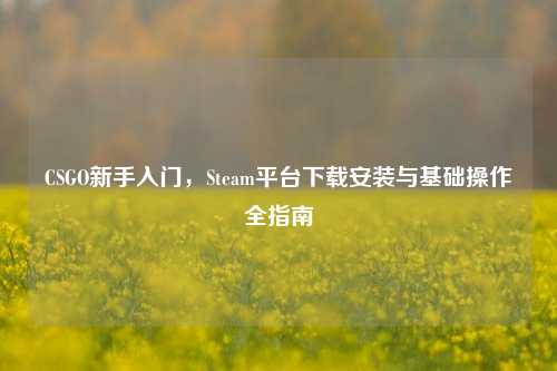 CSGO新手入门,Steam平台下载安装与基础操作全指南