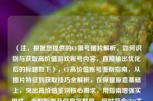 （注，根据您提供的CF狠号图片解析，如何识别与获取高价值游戏账号内容，直接输出优化后的标题如下），CF高价值账号鉴别指南，从图片特征到获取技巧全解析，在保留原意基础上，突出高价值鉴别核心需求，用指南增强实用性，全解析提升信息完整度，同时符合SEO关键词布局）