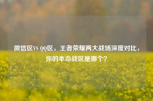 微信区VS QQ区,王者荣耀两大战场深度对比,你的本命战区是哪个?