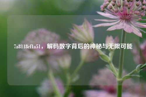 7a8118cf1a51，解码数字背后的神秘与无限可能