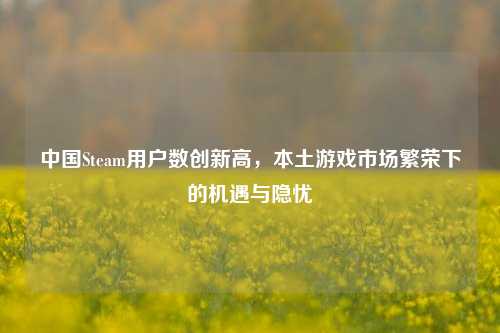 中国Steam用户数创新高，本土游戏市场繁荣下的机遇与隐忧