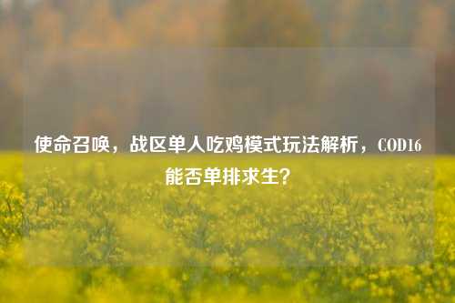 使命召唤，战区单人吃鸡模式玩法解析，COD16能否单排求生？
