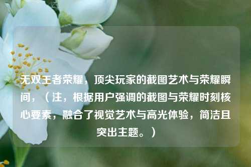 无双王者荣耀，顶尖玩家的截图艺术与荣耀瞬间，（注，根据用户强调的截图与荣耀时刻核心要素，融合了视觉艺术与高光体验，简洁且突出主题。）