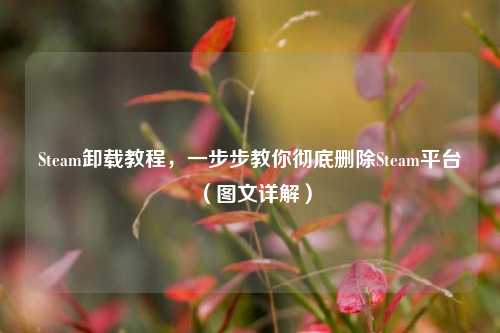 Steam卸载教程,一步步教你彻底删除Steam平台(图文详解)