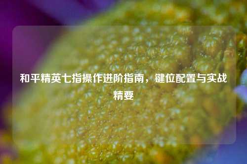 和平精英七指操作进阶指南，键位配置与实战精要