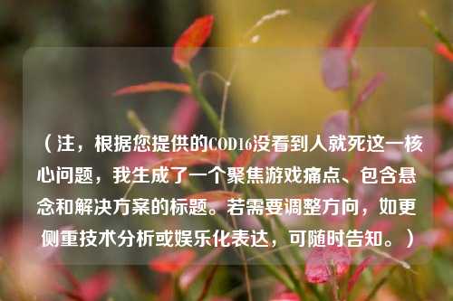 （注，根据您提供的COD16没看到人就死这一核心问题，我生成了一个聚焦游戏痛点、包含悬念和解决方案的标题。若需要调整方向，如更侧重技术分析或娱乐化表达，可随时告知。）