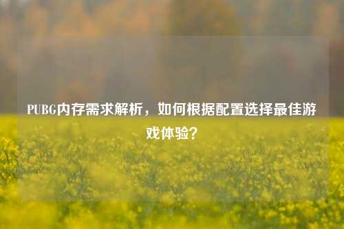PUBG内存需求解析，如何根据配置选择最佳游戏体验？