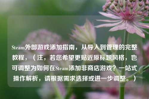 Steam外部游戏添加指南，从导入到管理的完整教程，（注，若您希望更贴近原标题风格，也可调整为如何在Steam添加非商店游戏？一站式操作解析，请根据需求选择或进一步调整。）