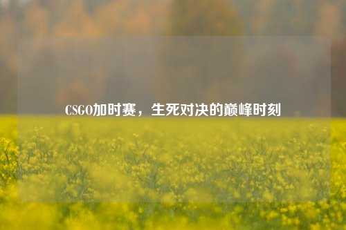 CSGO加时赛，生死对决的巅峰时刻