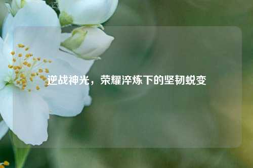 逆战神光,荣耀淬炼下的坚韧蜕变
