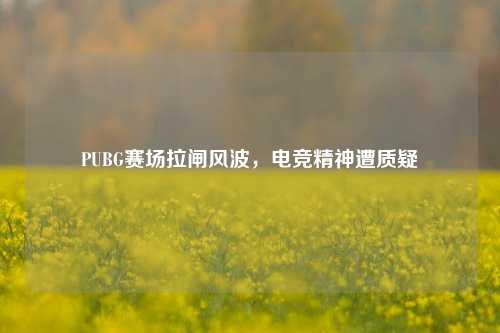 PUBG赛场拉闸风波，电竞精神遭质疑