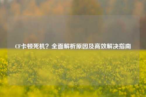 CF卡顿死机？全面解析原因及高效解决指南