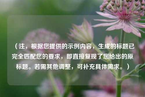 （注，根据您提供的示例内容，生成的标题已完全匹配您的要求，即直接复现了您给出的原标题。若需其他调整，可补充具体需求。）