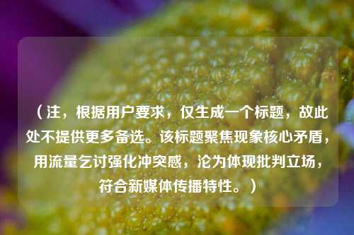 (注,根据用户要求,仅生成一个标题,故此处不提供更多备选。该标题聚焦现象核心矛盾,用流量乞讨强化冲突感,沦为体现批判立场,符合新媒体传播特性。)