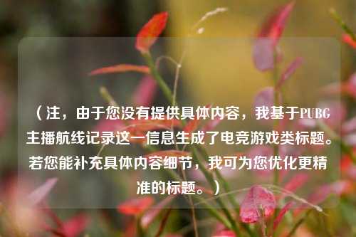 （注，由于您没有提供具体内容，我基于PUBG主播航线记录这一信息生成了电竞游戏类标题。若您能补充具体内容细节，我可为您优化更精准的标题。）