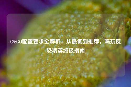 CS:GO配置要求全解析，从最低到推荐，畅玩反恐精英终极指南