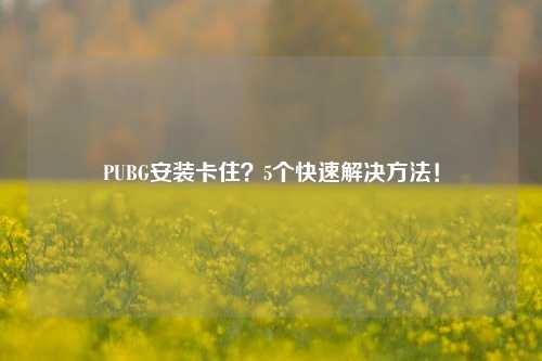 PUBG安装卡住？5个快速解决方法！