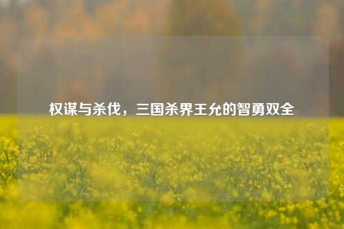 权谋与杀伐,三国杀界王允的智勇双全