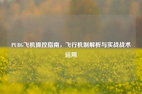 PUBG飞机操控指南，飞行机制解析与实战战术运用