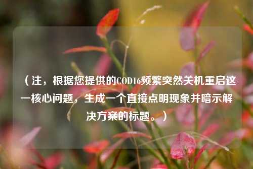 （注，根据您提供的COD16频繁突然关机重启这一核心问题，生成一个直接点明现象并暗示解决方案的标题。）