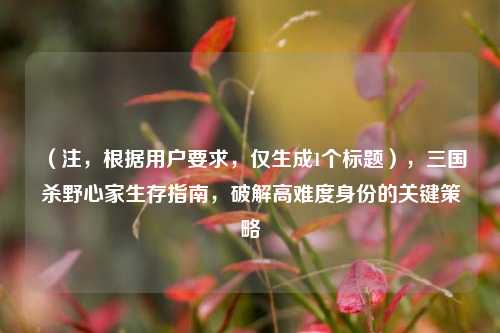 （注，根据用户要求，仅生成1个标题），三国杀野心家生存指南，破解高难度身份的关键策略