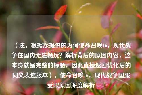 （注，根据您提供的为何使命召唤16，现代战争在国内无法畅玩？解析背后的原因内容，这本身就是完整的标题，因此直接返回优化后的同义表述版本），使命召唤16，现代战争国服受限原因深度解析