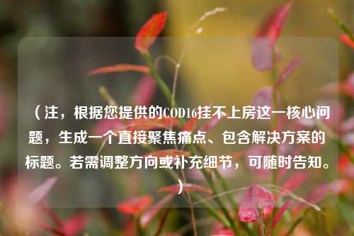 （注，根据您提供的COD16挂不上房这一核心问题，生成一个直接聚焦痛点、包含解决方案的标题。若需调整方向或补充细节，可随时告知。）