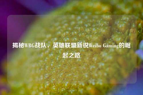 揭秘WBG战队，英雄联盟新锐Weibo Gaming的崛起之路