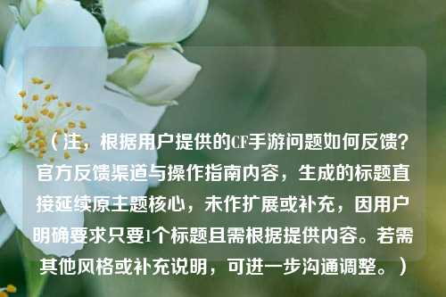 （注，根据用户提供的CF手游问题如何反馈？官方反馈渠道与操作指南内容，生成的标题直接延续原主题核心，未作扩展或补充，因用户明确要求只要1个标题且需根据提供内容。若需其他风格或补充说明，可进一步沟通调整。）