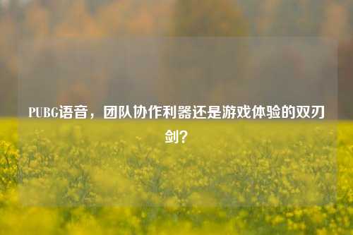 PUBG语音，团队协作利器还是游戏体验的双刃剑？