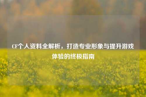 CF个人资料全解析，打造专业形象与提升游戏体验的终极指南