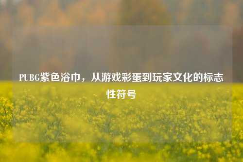 PUBG紫色浴巾，从游戏彩蛋到玩家文化的标志性符号