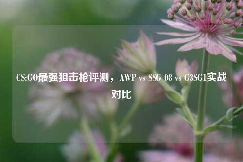 CS:GO最强狙击枪评测，AWP vs SSG 08 vs G3SG1实战对比
