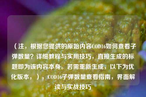 （注，根据您提供的原始内容COD16如何查看子弹数量？详细教程与实用技巧，直接生成的标题即为该内容本身。若需重新生成，以下为优化版本，），COD16子弹数量查看指南，界面解读与实战技巧