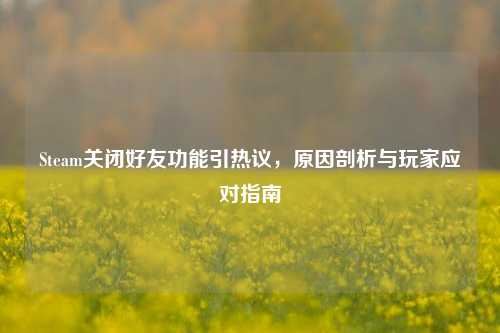 Steam关闭好友功能引热议,原因剖析与玩家应对指南