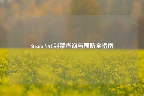 Steam VAC封禁查询与预防全指南