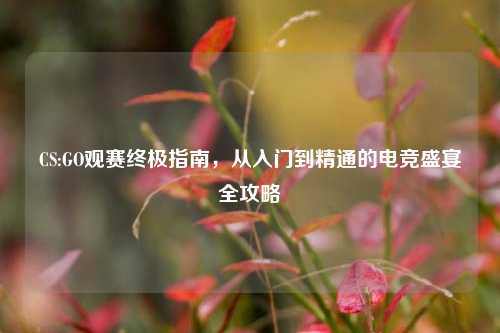 CS:GO观赛终极指南，从入门到精通的电竞盛宴全攻略