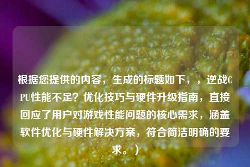根据您提供的内容,生成的标题如下,,逆战CPU性能不足?优化技巧与硬件升级指南,直接回应了用户对游戏性能问题的核心需求,涵盖软件优化与硬件解决方案,符合简洁明确的要求。)