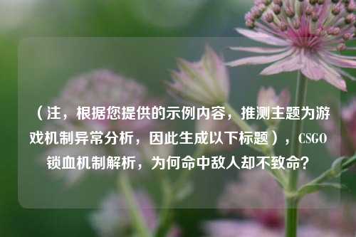 （注，根据您提供的示例内容，推测主题为游戏机制异常分析，因此生成以下标题），CSGO锁血机制解析，为何命中敌人却不致命？