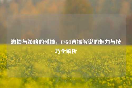 激情与策略的碰撞,CSGO直播解说的魅力与技巧全解析